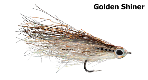 RIO Just Keep Swimming Golden Shiner